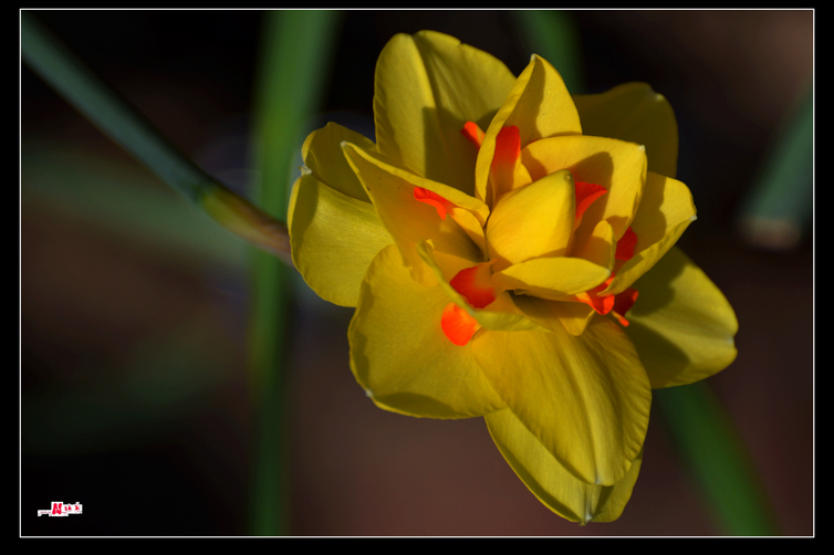 DSC_5036.jpg