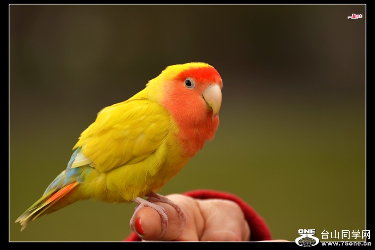 DSC_3096.jpg