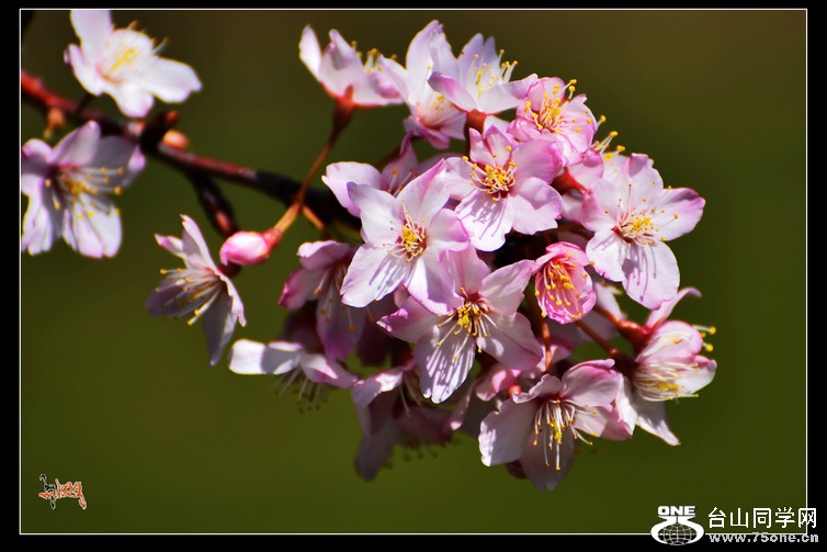 DSC_4404.jpg