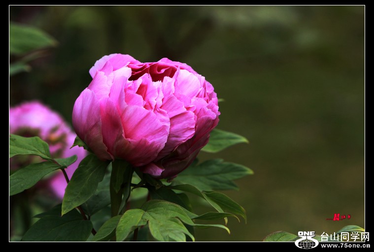 IMG_7003.jpg