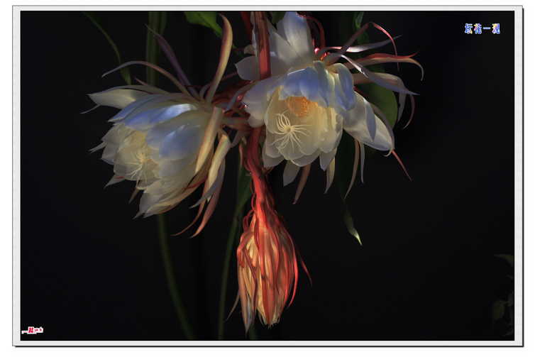 Ƭ 051.jpg