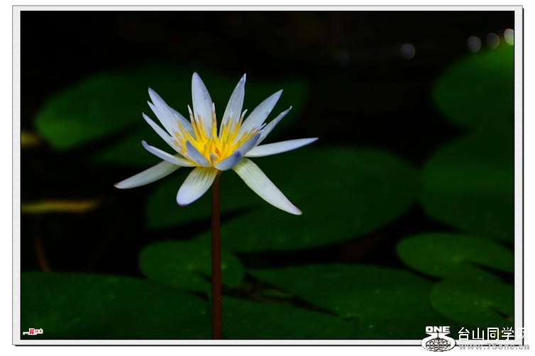 DSC_4483.jpg