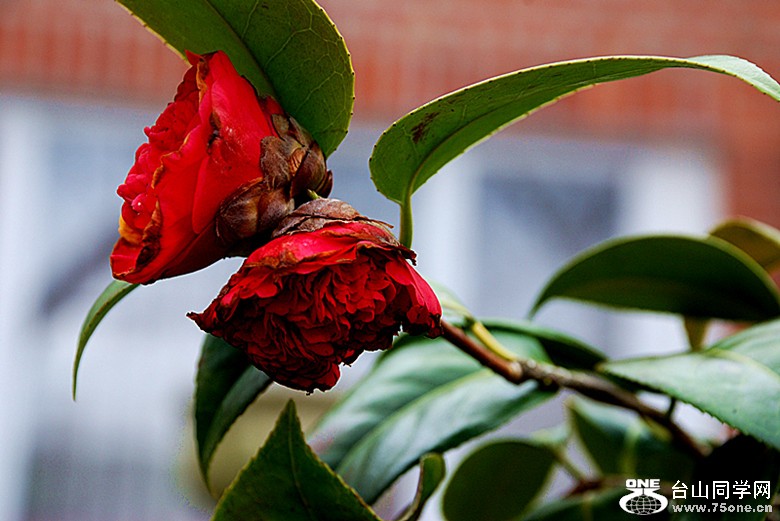 DSC_0028_.jpg
