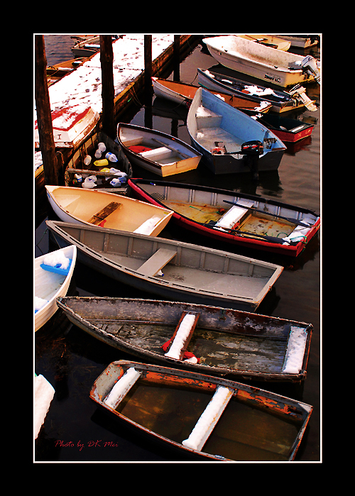 DSC_0709C.jpg