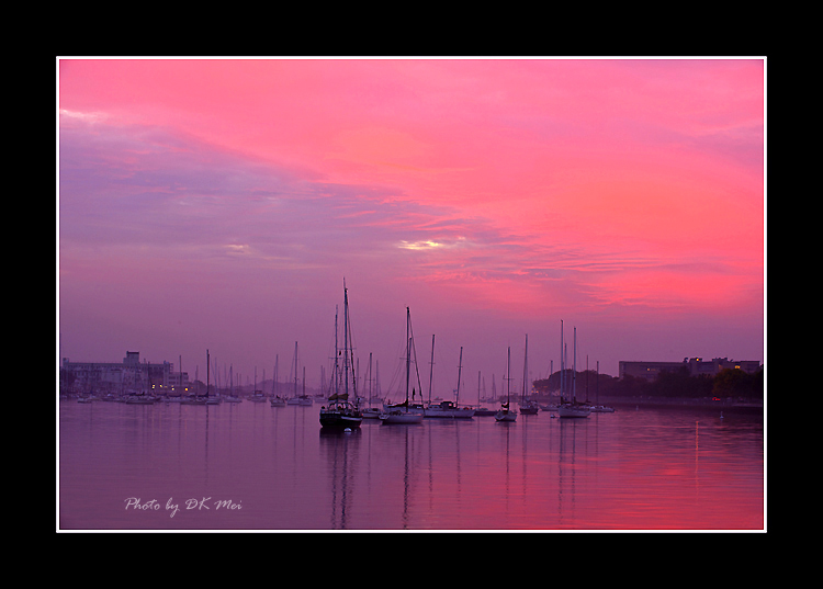 DSC_6165C.jpg