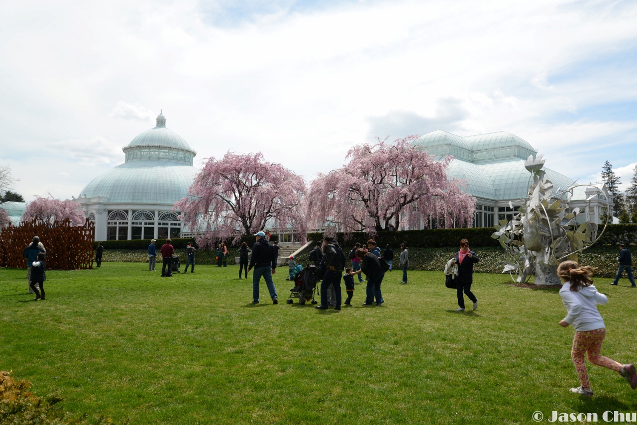 DSC_2297 (1280x854).jpg