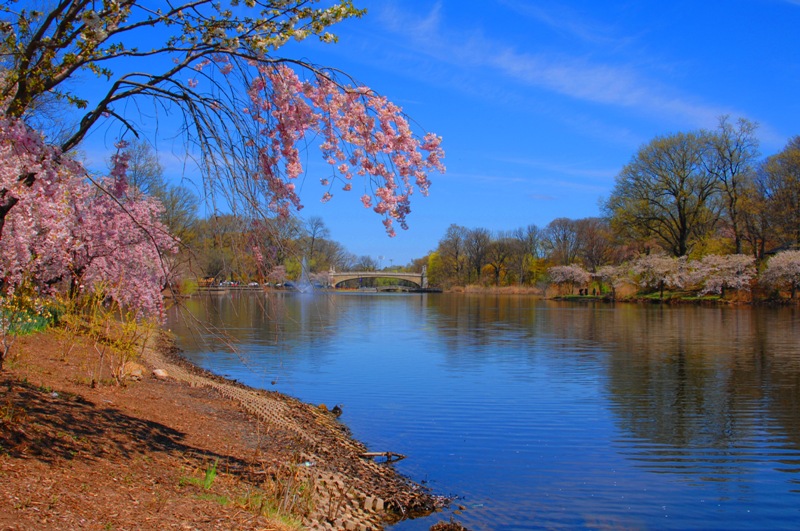 nj-3.jpg