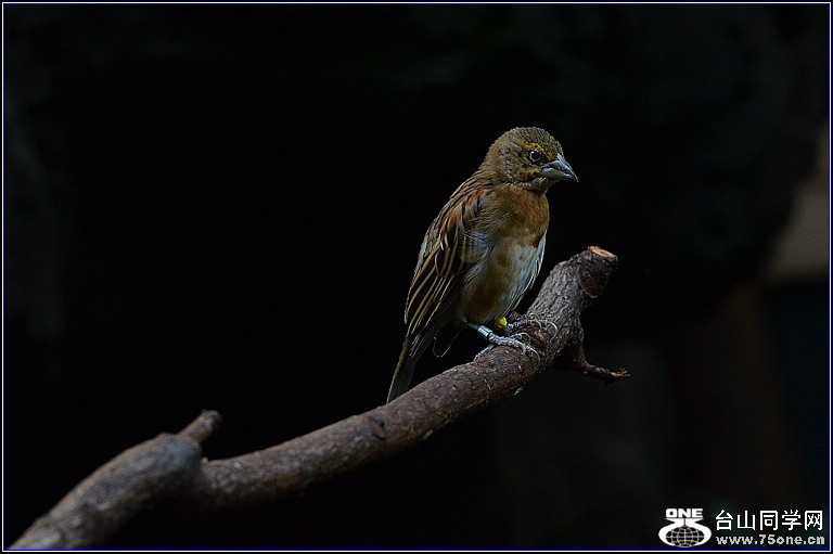 DSC_3191.jpg