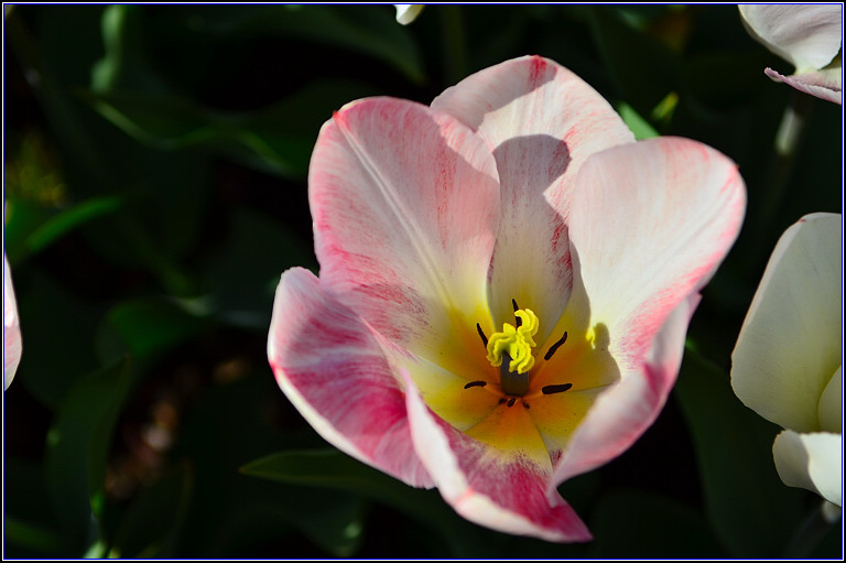 DSC_0569.jpg