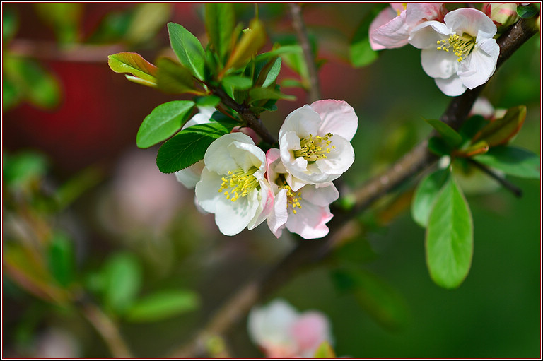 DSC_9863.jpg
