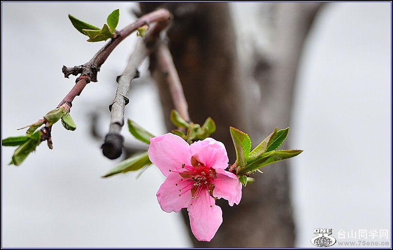 DSC_1097.jpg