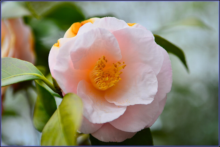 DSC_9397.jpg