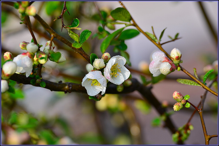 DSC_8939.jpg