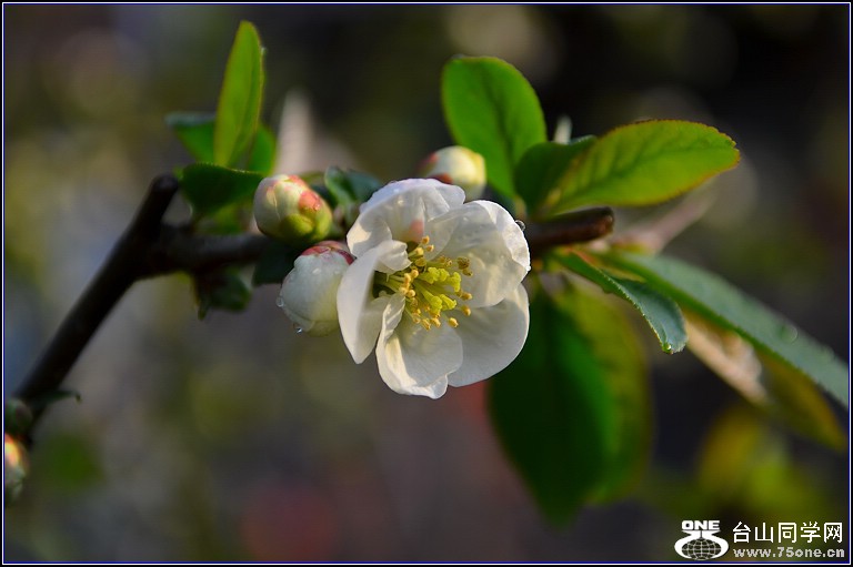 DSC_9157.jpg