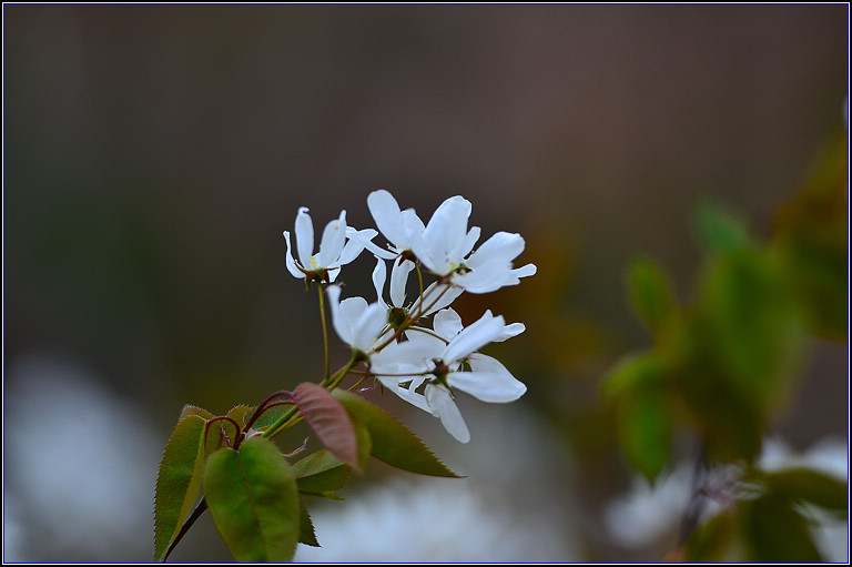 DSC_9363.jpg