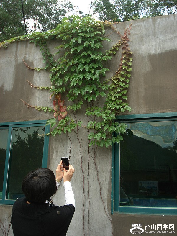 DSC00136.jpg