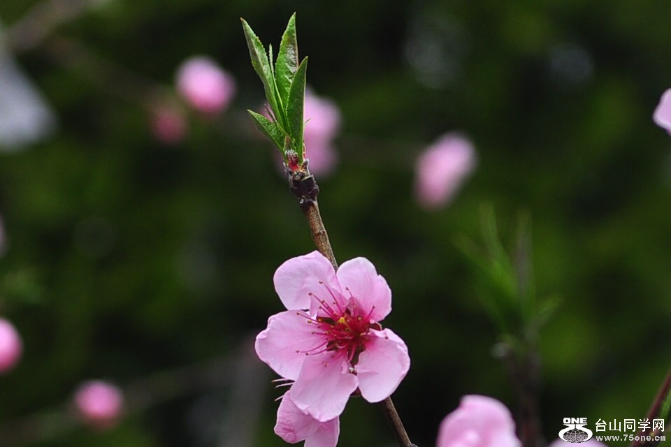 CSC_0939_.jpg