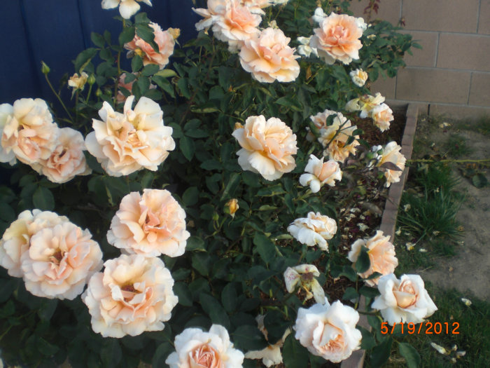 2012_07170526_.JPG