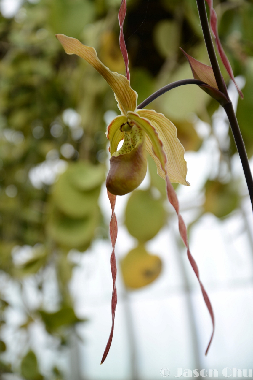 DSC_2457 (854x1280).jpg