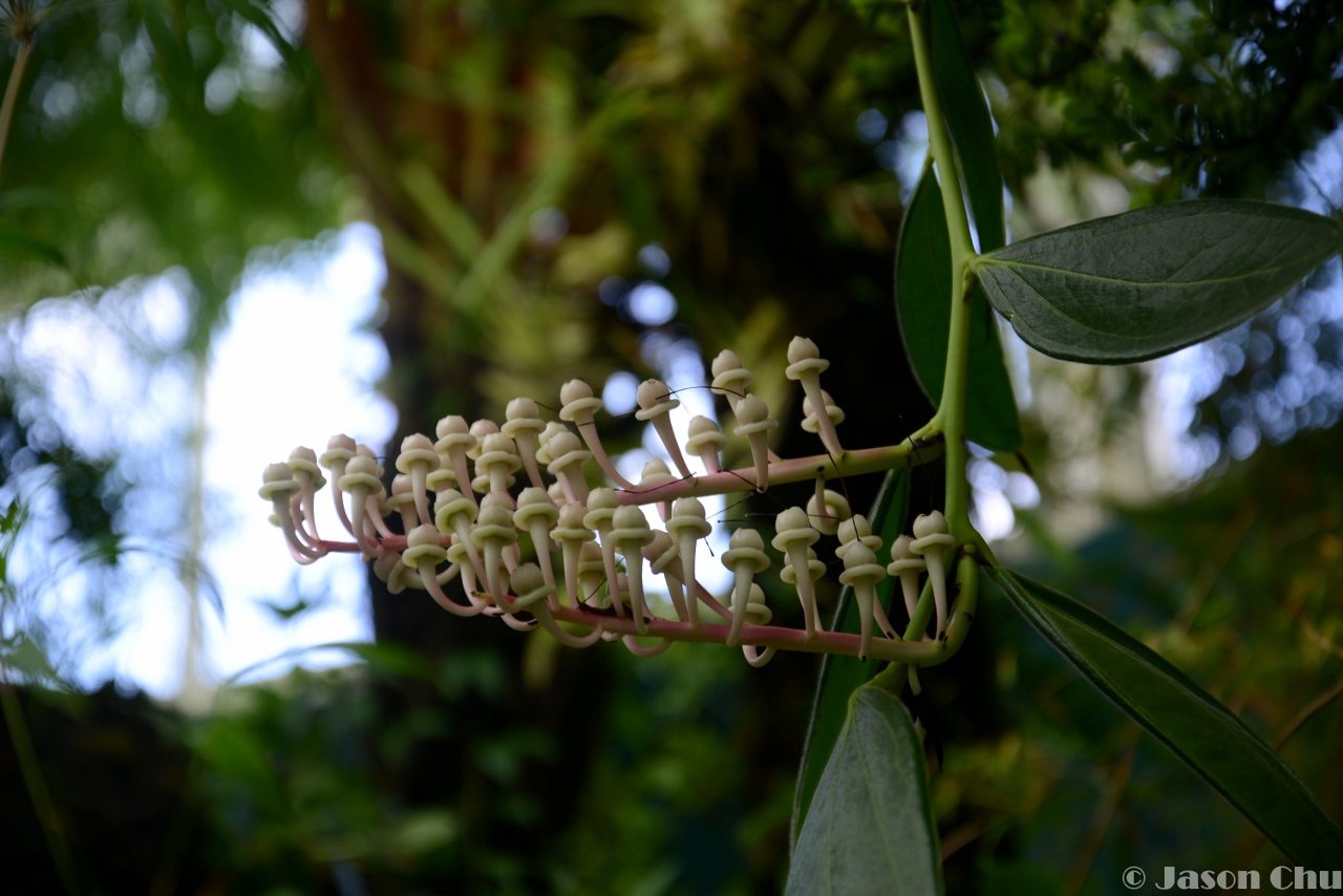 DSC_2381 (1280x854).jpg