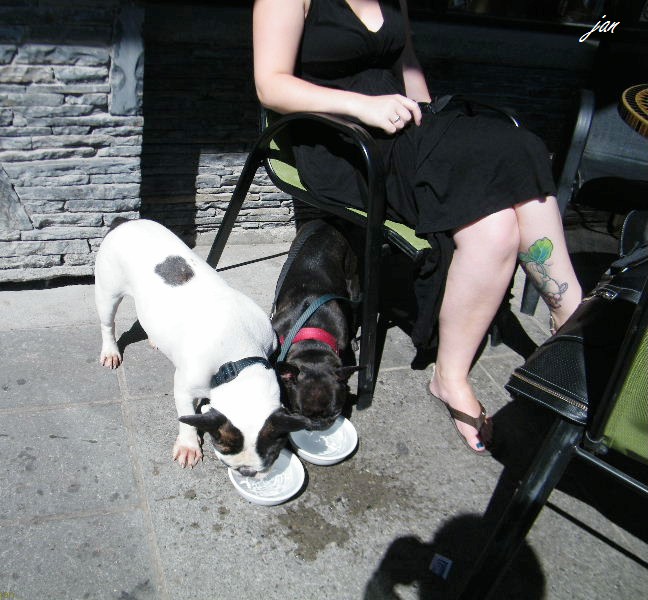 DSCF7221.JPG