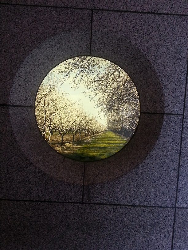 20130423_161157.jpg