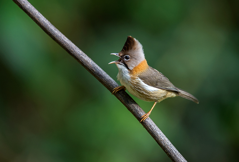 DSC_9164-.jpg