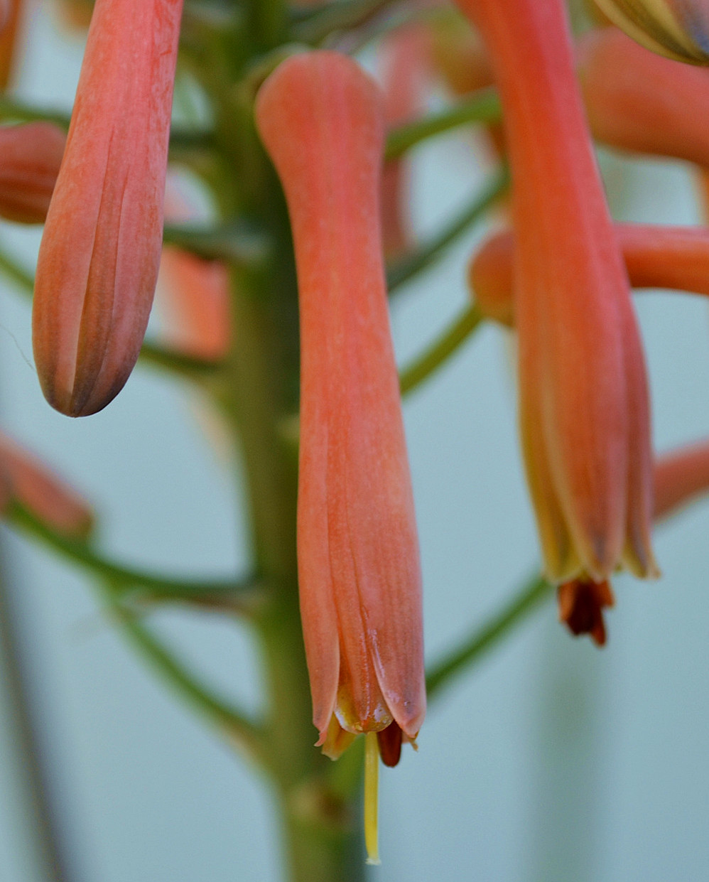 DSC_0080_13.jpg