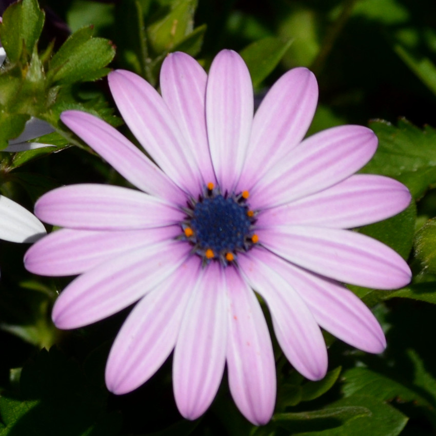 DSC_0539_09.jpg