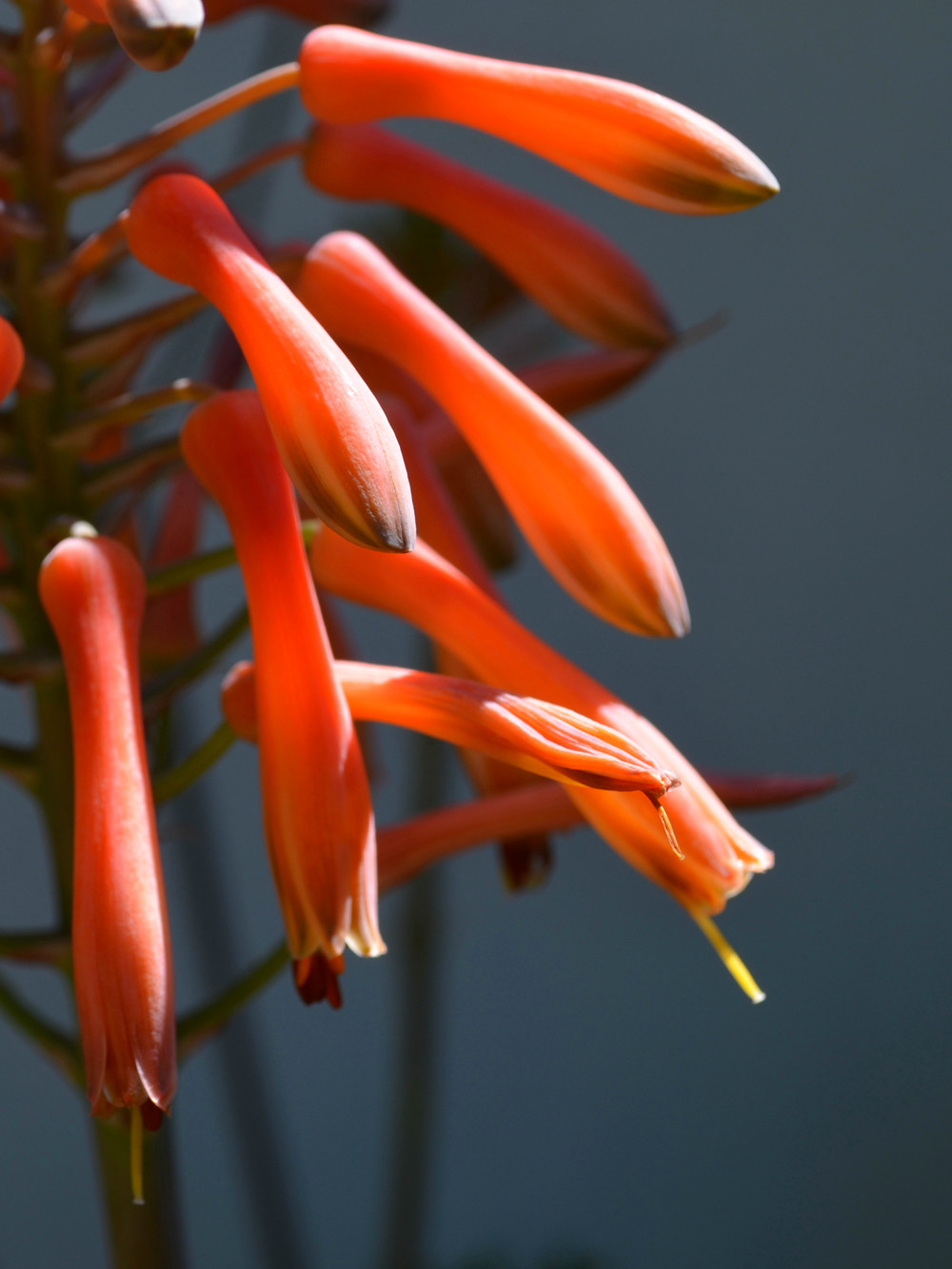 dsc_0029_78.jpg