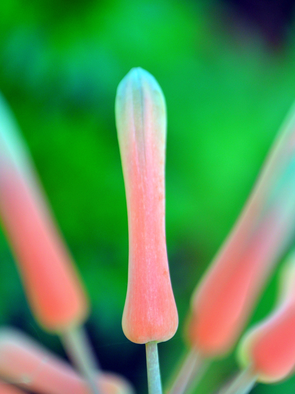 dsc_0104_51.jpg
