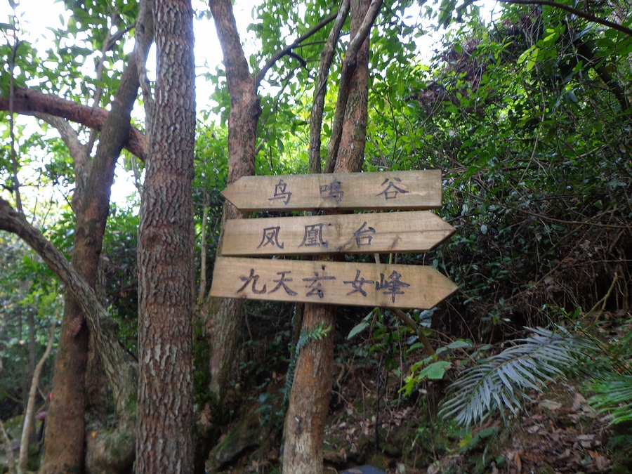 DSC02416.jpg