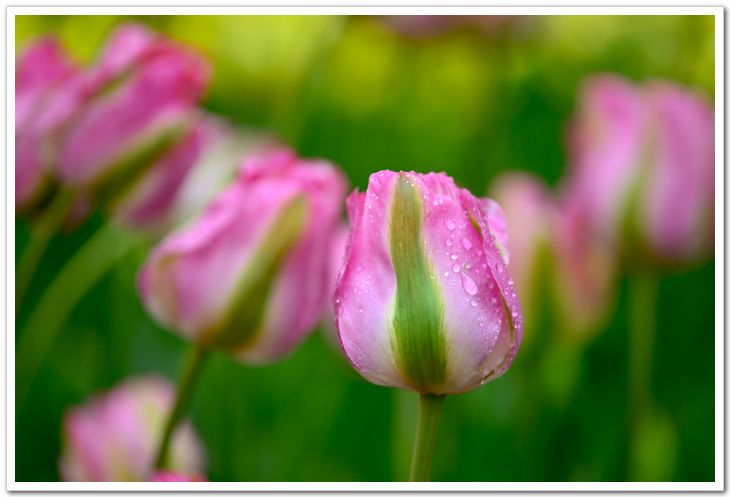 nEO_IMG_DSC_3944.jpg