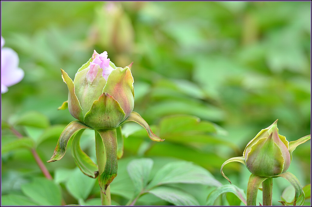 DSC_1163.jpg