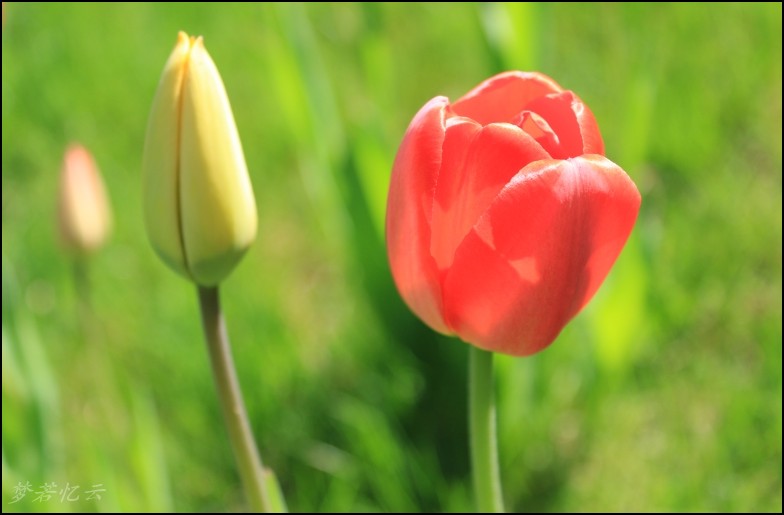 conew_2Ƭ 046_conew1.jpg