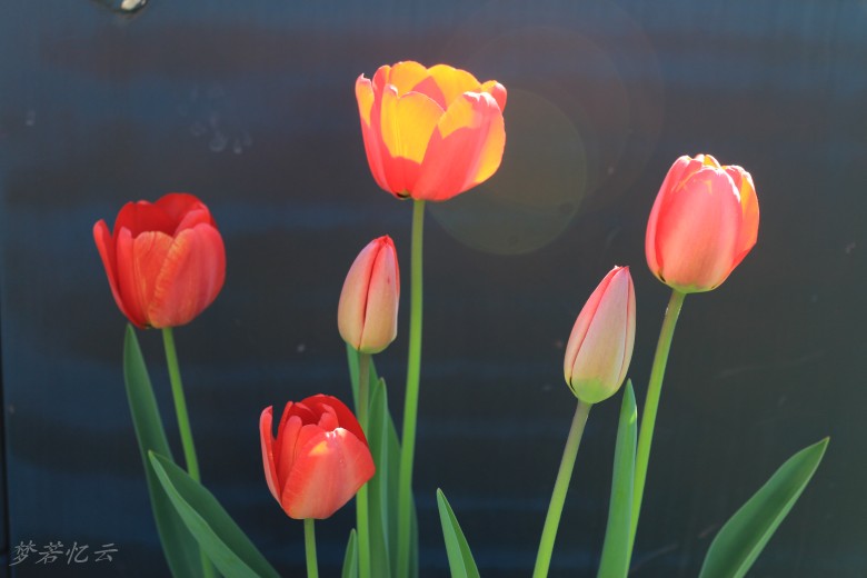 conew_2Ƭ 024.jpg