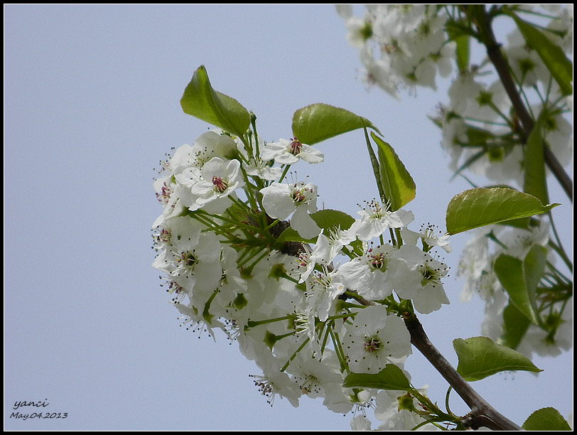 DSCN0883.JPG