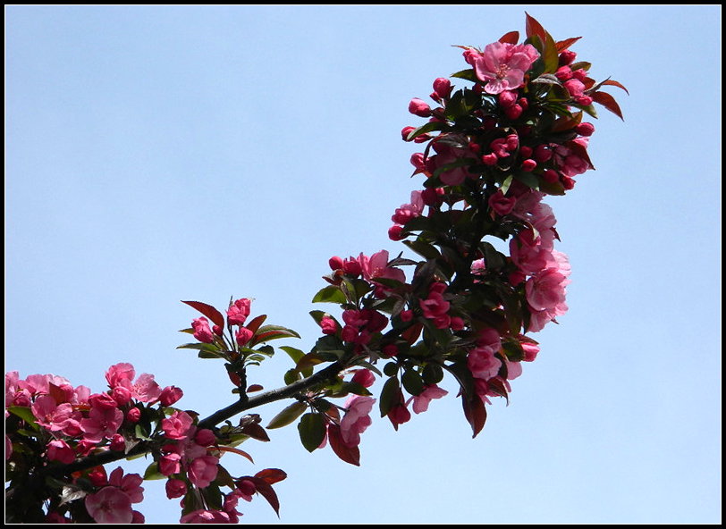 DSCN1031.JPG