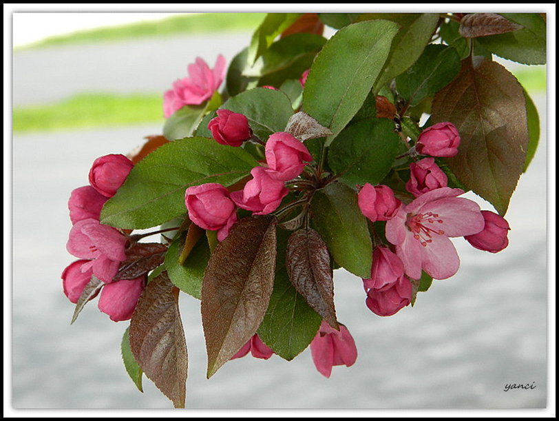 DSCN1011.JPG