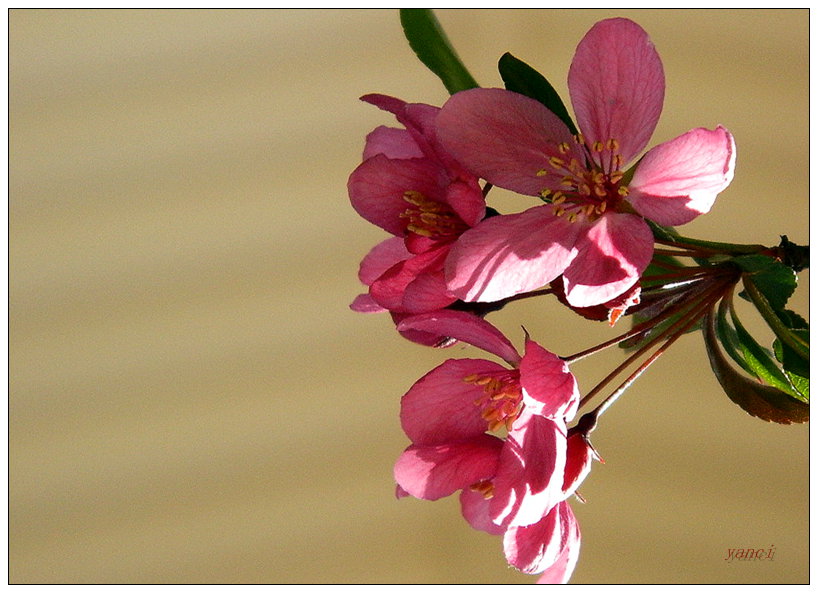 DSCN1287.JPG