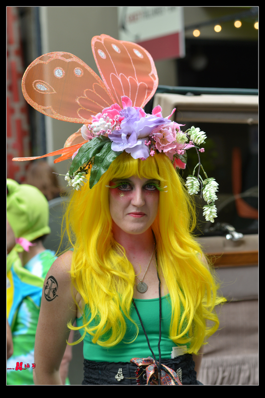 DSC_6527.jpg