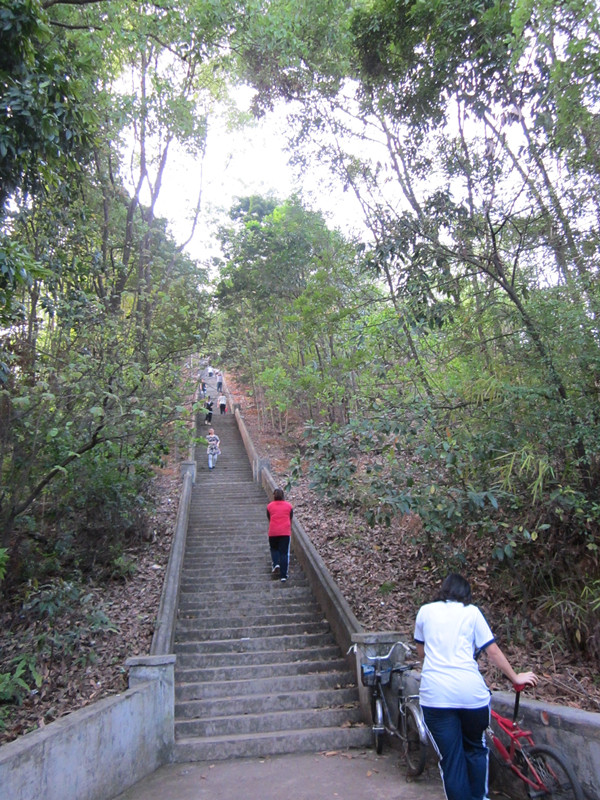 IMG_1856_.jpg