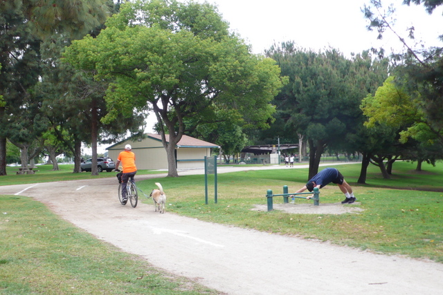 P1260771-001.JPG