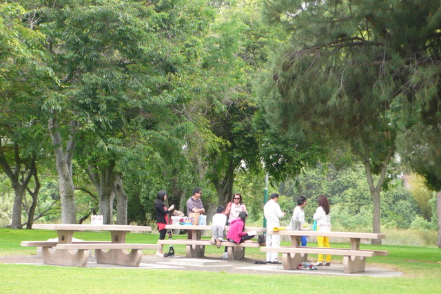 P1260772.JPG