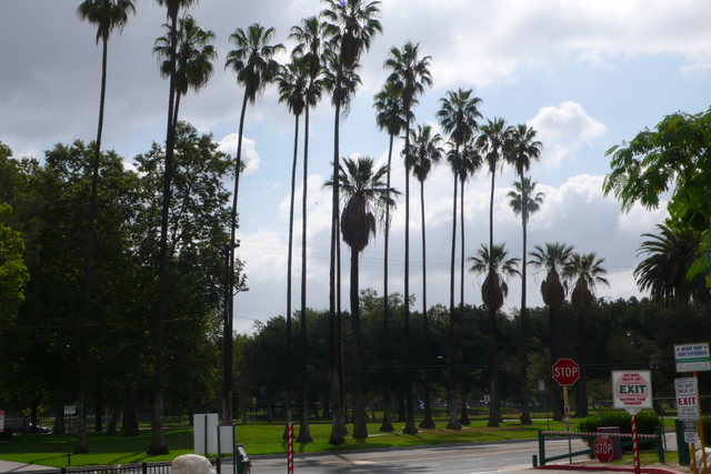 P1260746-001.JPG