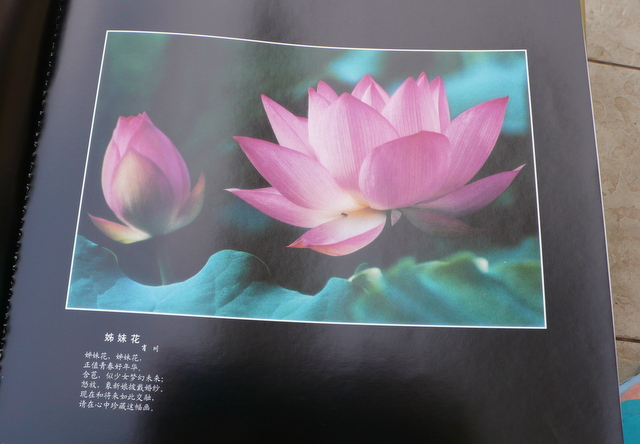 P1260139.JPG