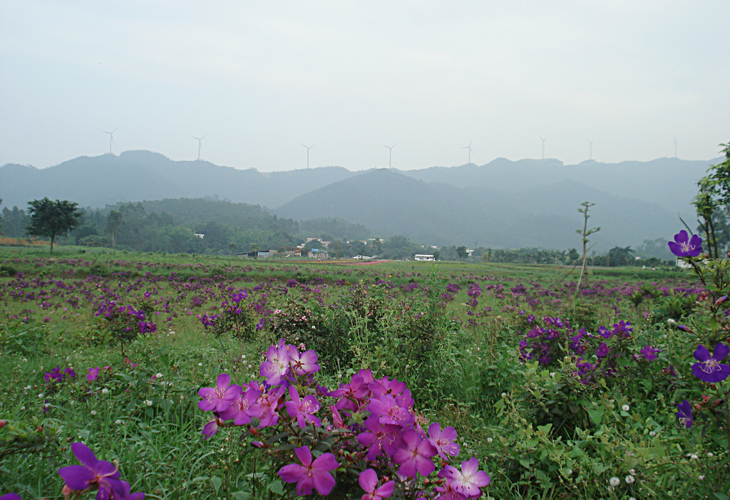 DSC00033.jpg