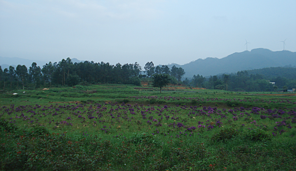 DSC00068.jpg