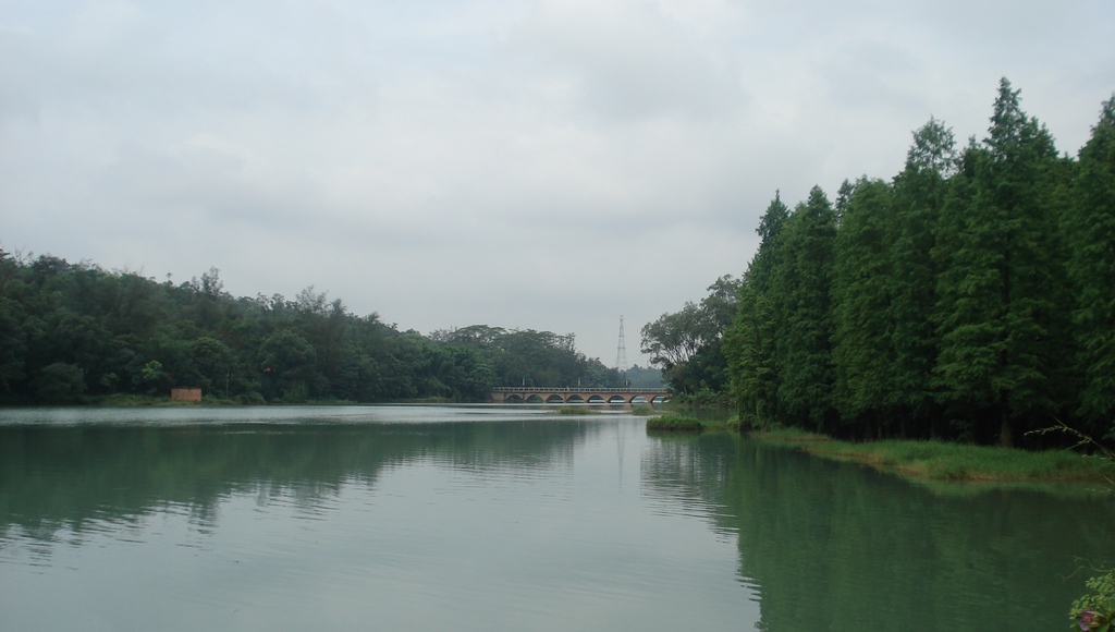 DSC00013.jpg