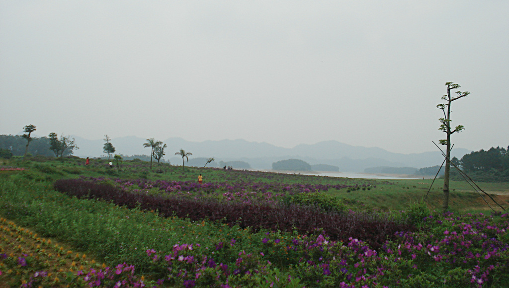 DSC00029.jpg